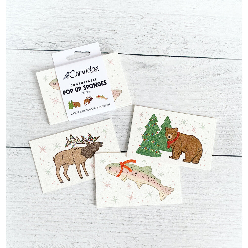 Compostable Pop Up Sponge