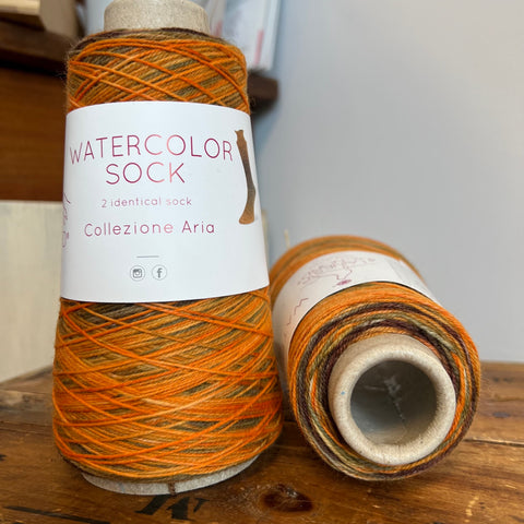 Laines du Nord Watercolor Sock Yarn