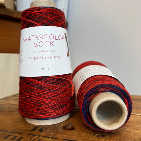 Laines du Nord Watercolor Sock Yarn